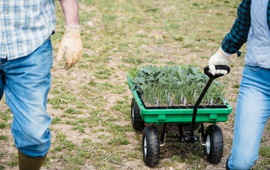 Exploring Practical Tools for Everyday Growth