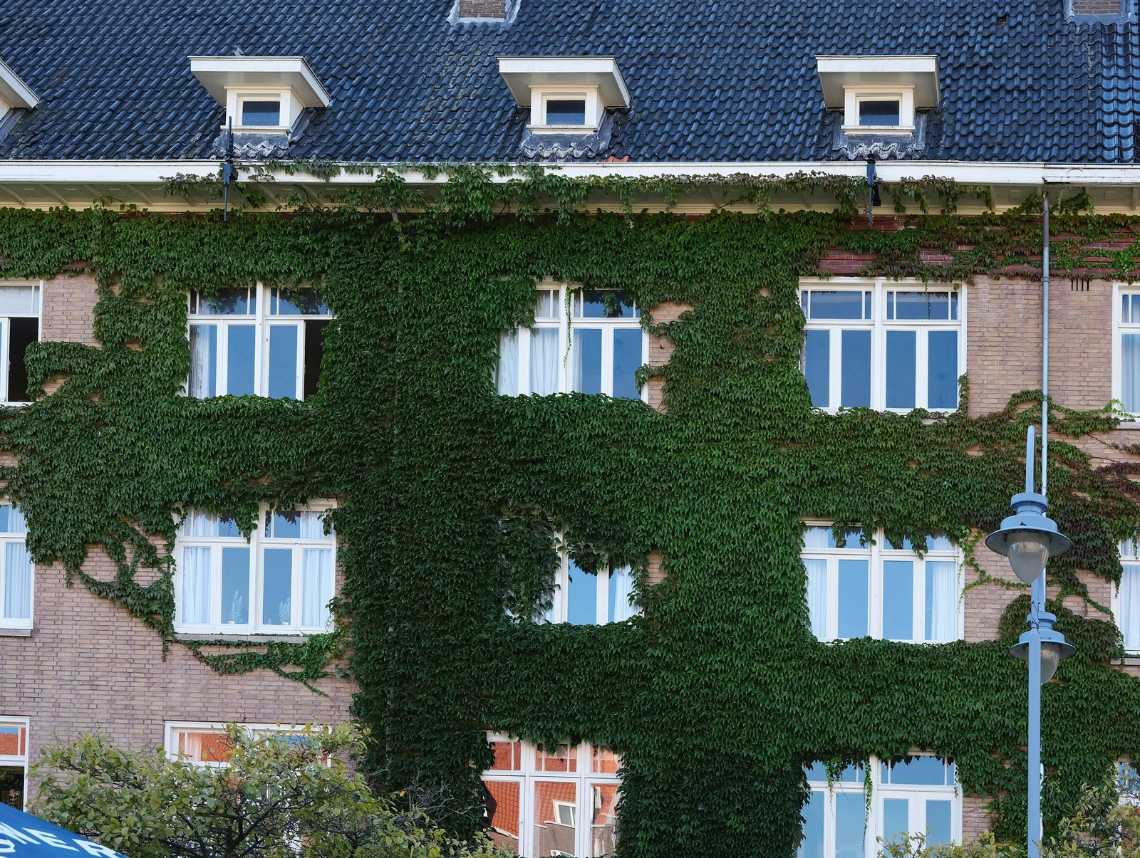 Sustainability Practices Driving Market Demand